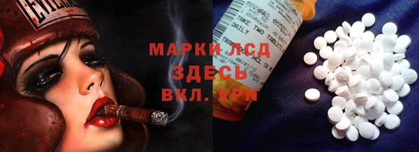 прущие грибы Елизово