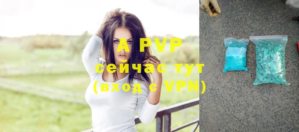 прущие грибы Елизово