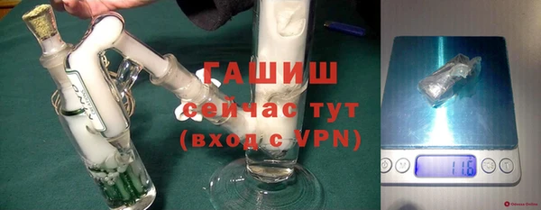 прущие грибы Елизово
