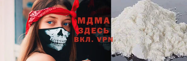 прущие грибы Елизово