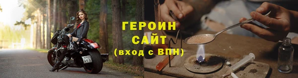прущие грибы Елизово