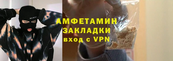прущие грибы Елизово
