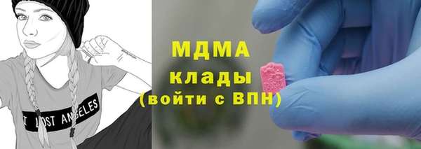 прущие грибы Елизово