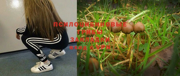 гашиш Елабуга