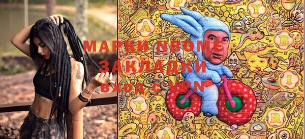прущие грибы Елизово