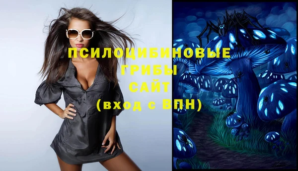 прущие грибы Елизово