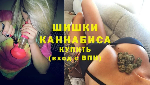 мдма Ельня