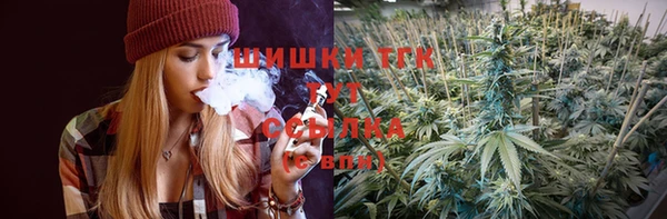 прущие грибы Елизово
