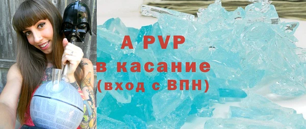 прущие грибы Елизово
