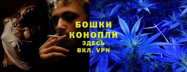 мдма Ельня