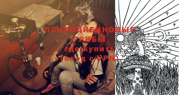 прущие грибы Елизово