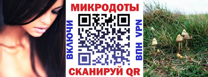 Галлюциногенные грибы Magic Shrooms  закладка  Копейск 